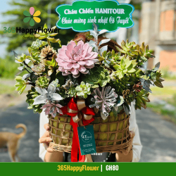 Giỏ Hoa Tươi Khai Trương Sen Đá