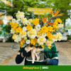 Giỏ Hoa Tươi Sinh Nhật Hiện Đại