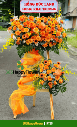 Kệ Hoa Tươi Rực Rỡ