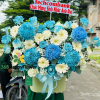 Giỏ Hoa Tươi