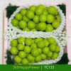 Giỏ Trái Cây